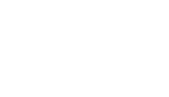 Flying Chimp Media